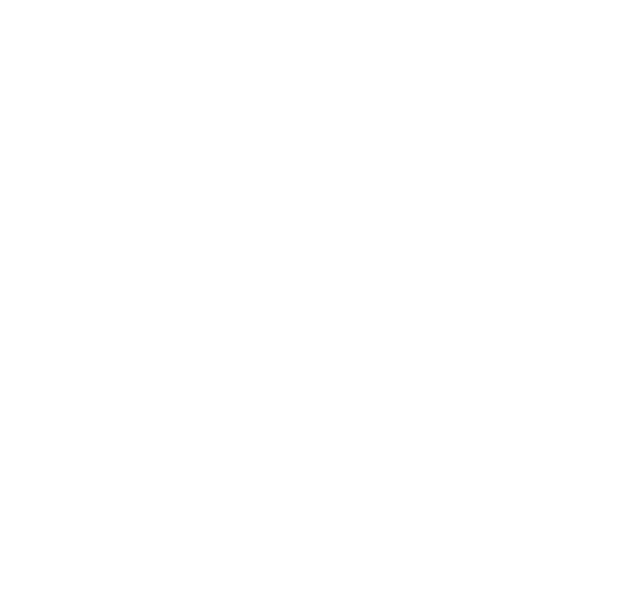 PurpleRobe Media logo white tpbg